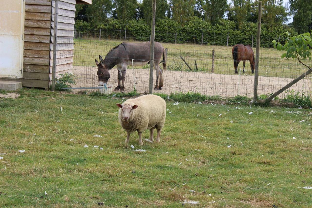 Gite En Campagne Isatis Landemont Zewnętrze zdjęcie